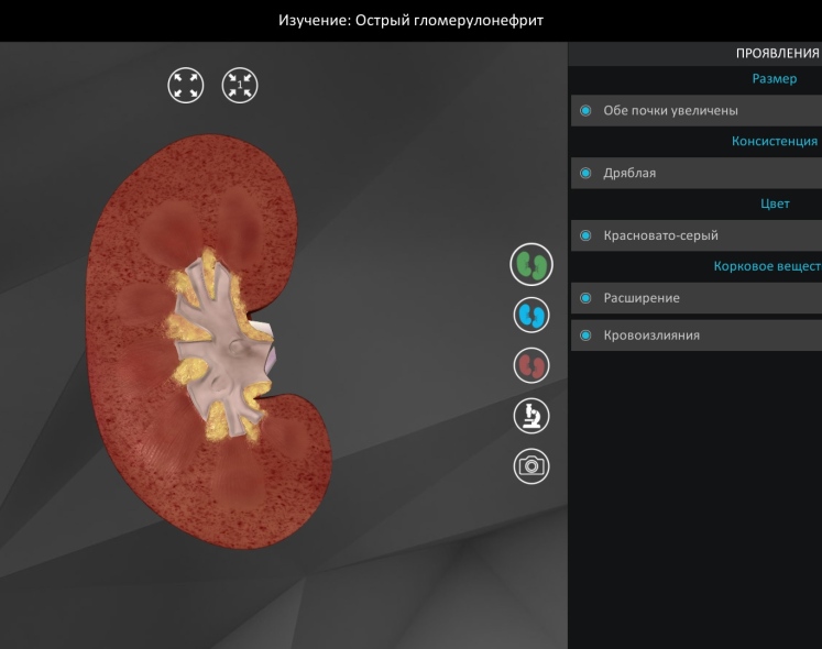 Патолоджи3D (Pathology3D)