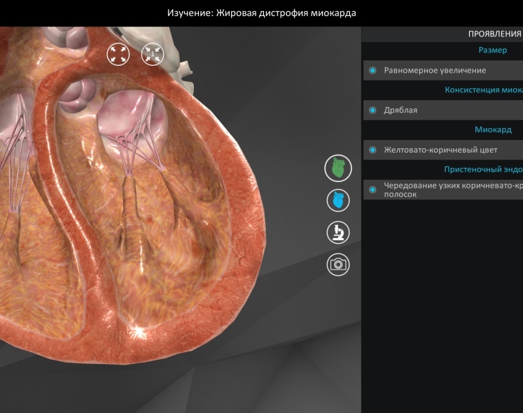 Патолоджи3D (Pathology3D)