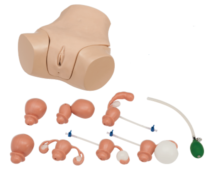 Фантом для гинекологического исследования